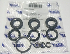 Seal Kit #33630 for 5CP5120 – 5CP5150 Cat Pumps