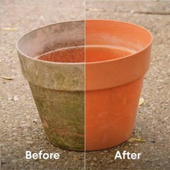 121 Oz. Pro Results Concentrated Liquid Outdoor Bleach Cleaner